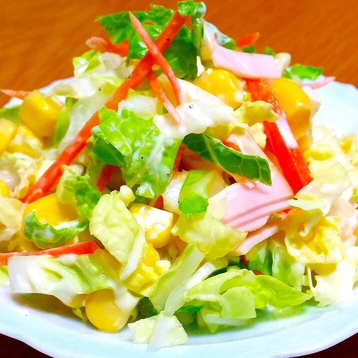 マスタードが隠し味☆白菜で作るコールスロー風サラダ
